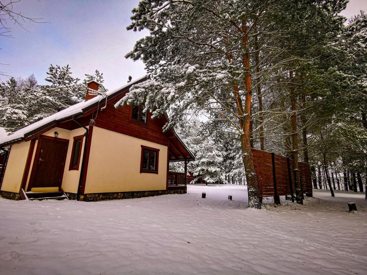 Ostoja Stacze Villa Екстериор снимка