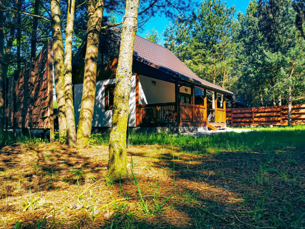 Ostoja Stacze Villa Екстериор снимка